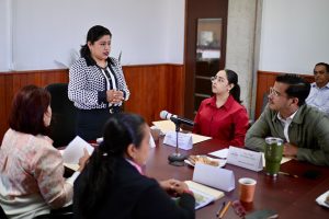 Lee más sobre el artículo Se reúne Comisión de Medio Ambiente con autoridades de Sedema y PMA