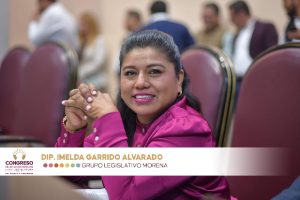 Lee más sobre el artículo Veracruz armonizará ley ambiental con norma federal; endurecerán penas contra tala ilegal